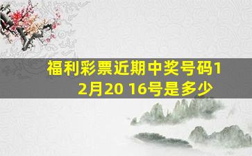 福利彩票近期中奖号码12月20 16号是多少